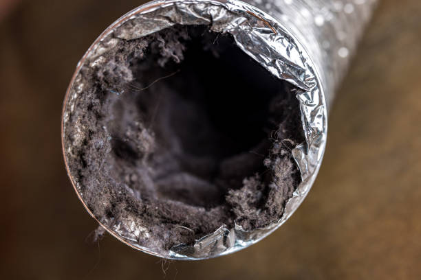 Best Affordable Duct Cleaning Services  in Wasco, CA