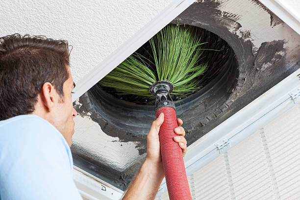 Best Air Duct Cleaning Near Me  in Wasco, CA