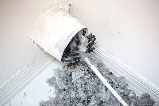 Best Air Duct Cleaning Near Me  in Wasco, CA